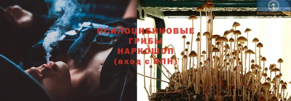 молекула духа Абинск