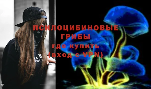 МДПВ Абдулино