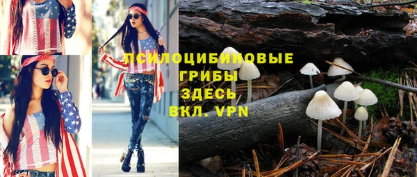 винт Сафоново