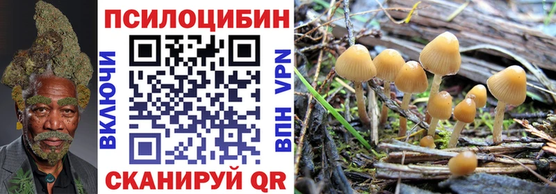 Галлюциногенные грибы Cubensis Катайск